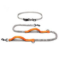 Multifunctional Running Reflective Double Telescopic Dog Leash Dog Chain Lead Rope