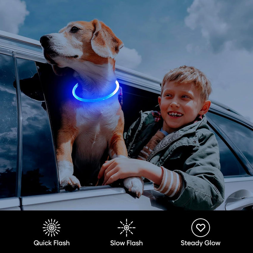 LED Dog Collar USB Rechargeable Glowing Pet Collars Lighted Up Safety Necklace Glow In The Dark For You Your Dogs