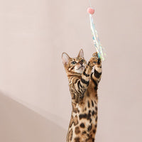 Retractable Chewable Cat Toy