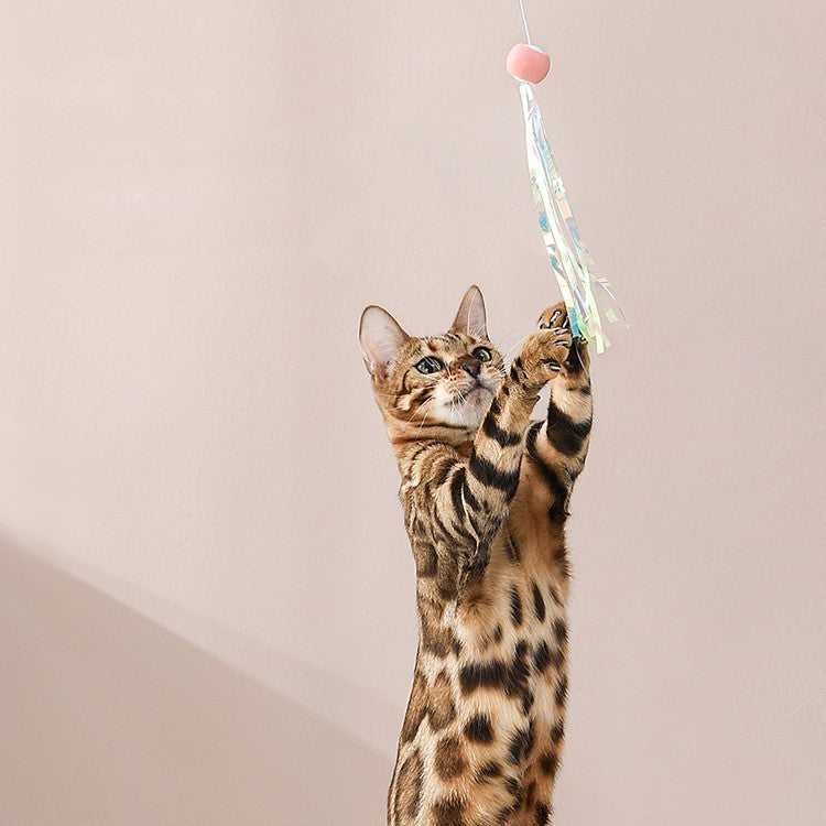 Retractable Chewable Cat Toy