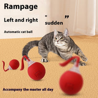 Interactive Cat Toy Ball Super Drive Cat Rolling Ball - My Store #