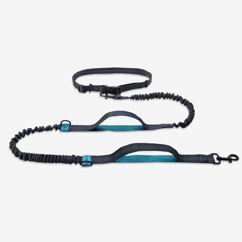 Multifunctional Running Reflective Double Telescopic Dog Leash Dog Chain Lead Rope