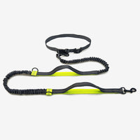 Multifunctional Running Reflective Double Telescopic Dog Leash Dog Chain Lead Rope