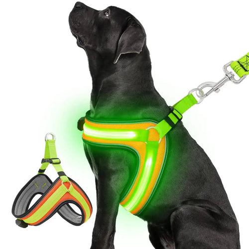 Big Harness for a Dog LED Light Up Rechargeable Vest Glow Green No Choke for Night Visibility