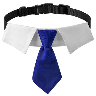 Bow Tie Dog Collar - Dog Collar Soft Polyester Dog Bow Tie with Metal Buckle for Large Medium and Small Boys Cat Dog Tie (Large Blue/White)