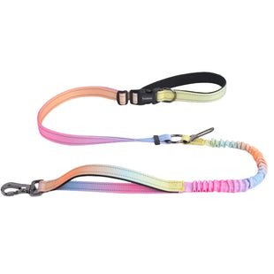 Bungee Dog Leash – Hands-Free Leash for Running and Walking - Petcharged