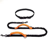 Multifunctional Running Reflective Double Telescopic Dog Leash Dog Chain Lead Rope