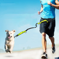 Multifunctional Running Reflective Double Telescopic Dog Leash Dog Chain Lead Rope