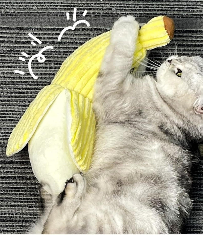 Banana Cat Crinkle Toy Catnip Crinkle Sound Toys Fruit Cat Chew Toy Corn Cat Toy For Indoor Kitten Exercise Soft And Durable