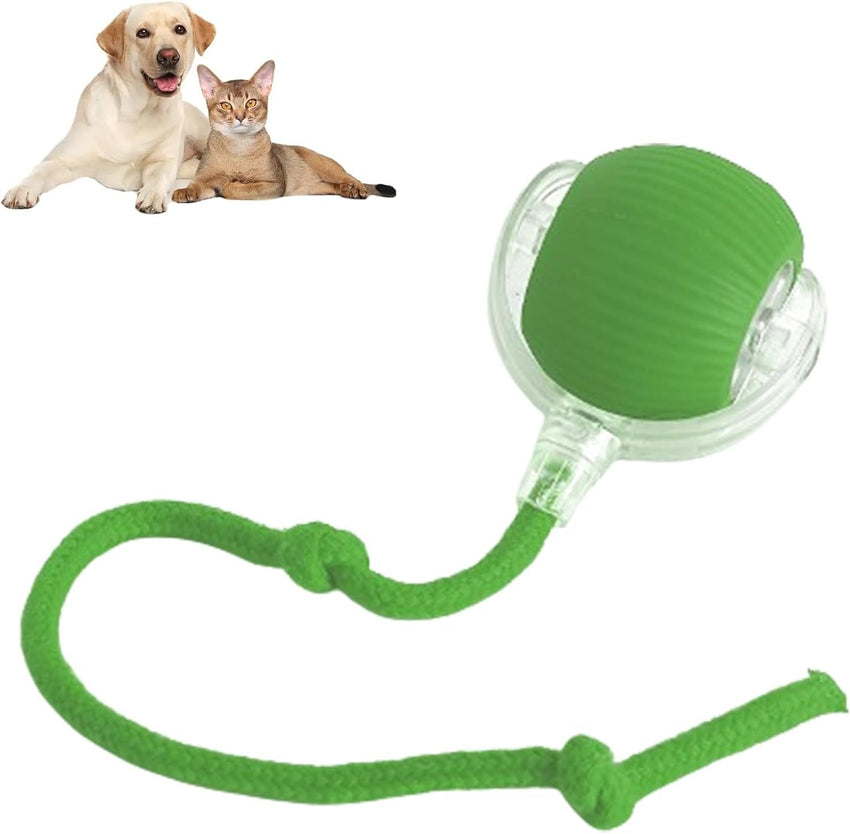 Rolling Ball Ball For Dogs Doggie Ball Interactive Dog Smart Ball Toy Interactive Cat Ball Toy 360  Smart Automatic Rolling Pet Ball - My Store #