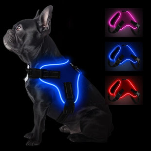 Dog Harness for Big Dogs – XL Blue LED, Rechargeable for Safety