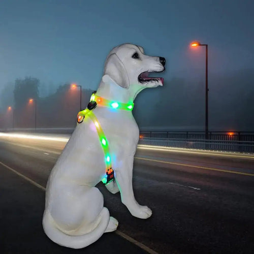 Dog Harness for Medium Dogs – Bright, Lighted & Waterproof Vest