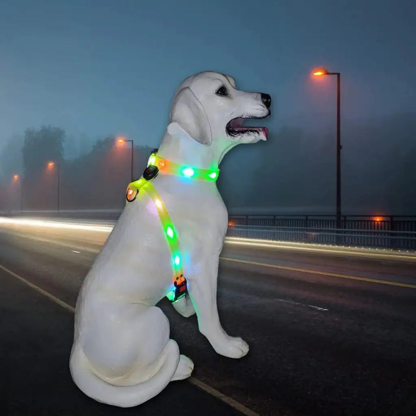 Dog Harness for Medium Dogs – Bright, Lighted & Waterproof Vest - Petcharged
