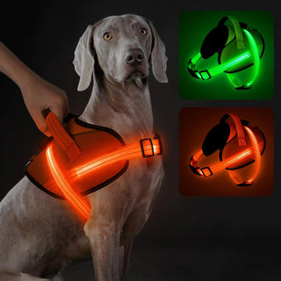 Dog Harness Light - Light Up Dog Harness No - Pull Led Dog Harness Rechargeable Reflective Glow in The Dark Dog Vest Harness Adjustable & Comfort Padded Lighted Dog Harness for Safety Night Walking (Orange S) - Petcharged