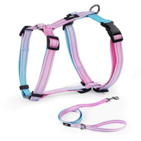 Dog Harness Walking Set - Small, Safe, No - Pull, and Easy to Use - Petcharged