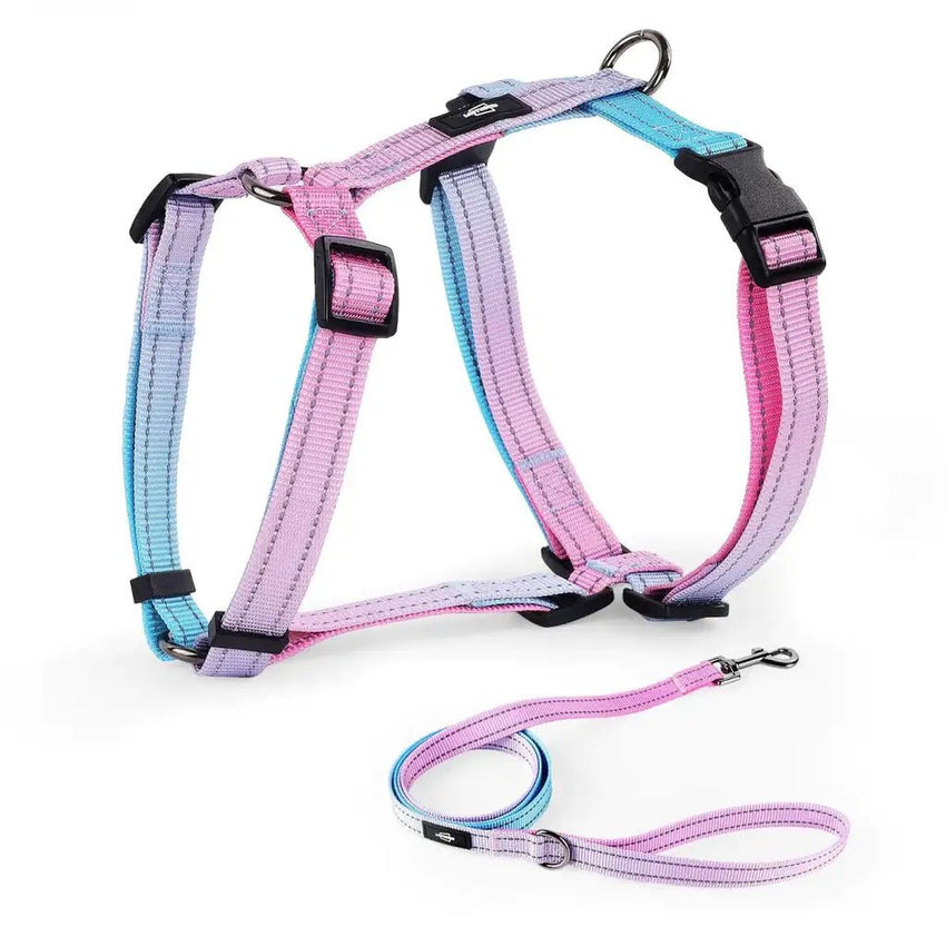 Dog Harness Walking Set - Small, Safe, No - Pull, and Easy to Use - Petcharged