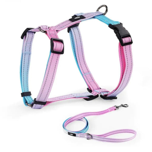 Dog Harness Walking Set Small Adjustable Reflective Vest with Padded Handle and Seat Belt Clip