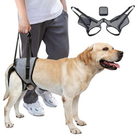 Dog Lifting Harness for Back Legs – XL Support for Large, Elderly Dogs