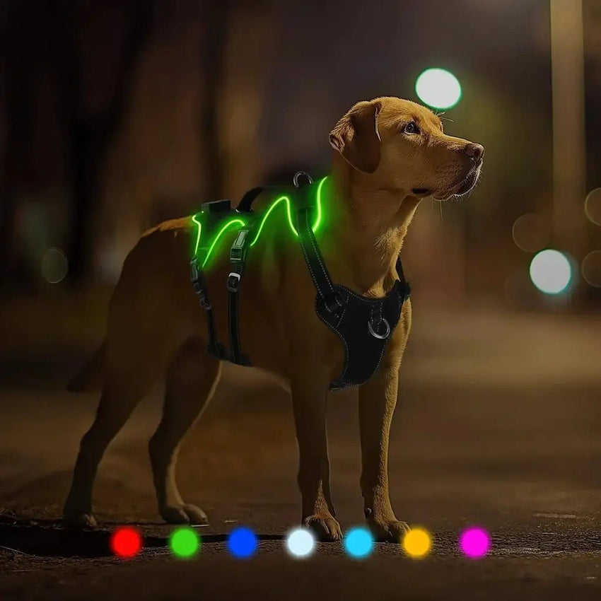 Dog running harness - Light Up 7 Color Changing LED Rechargeable Vest Harness for Dogs Night Walking - Petcharged