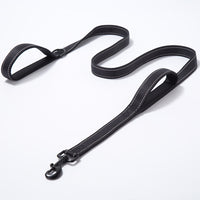 Pet Products Leash Leash Nylon Double Thickened Reflective Dog Leash