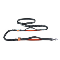 Multifunctional Running Reflective Double Telescopic Dog Leash Dog Chain Lead Rope