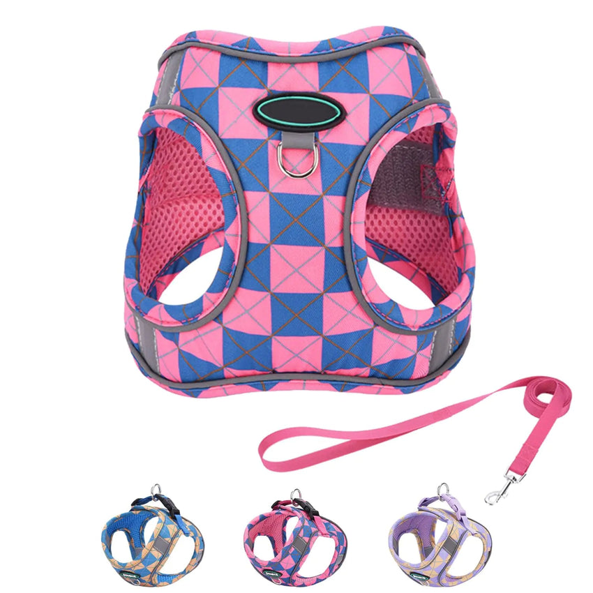 Easy Dog Walker Harness – Step-In, No-Pull Harness and Leash Set (XS)