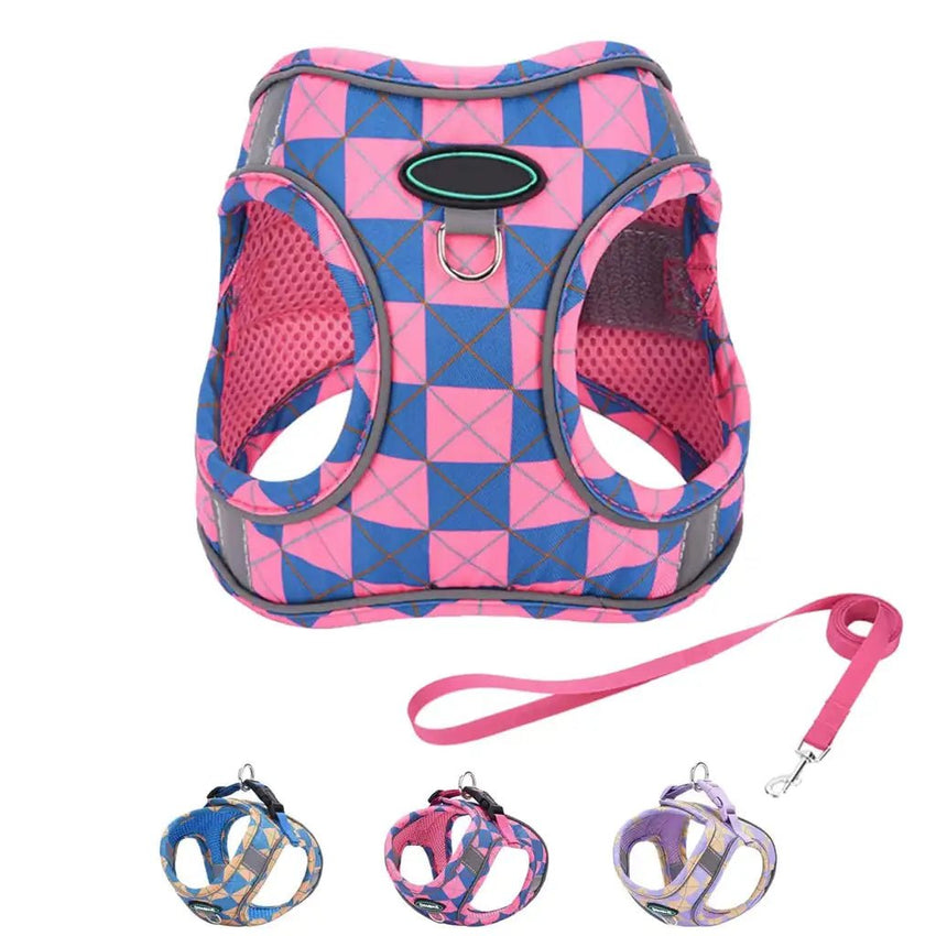 Easy Dog Walker Harness – Step - In, No - Pull Harness and Leash Set (XS) - Petcharged