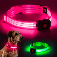 light up dog collar - Light Up Dog Collar for Night Walking Flashing LED Dog Collar Light Rechargeable Reflective Dog Collar Water - Resistant Adjustable Size Dog Collars for Medium Dogs - Petcharged