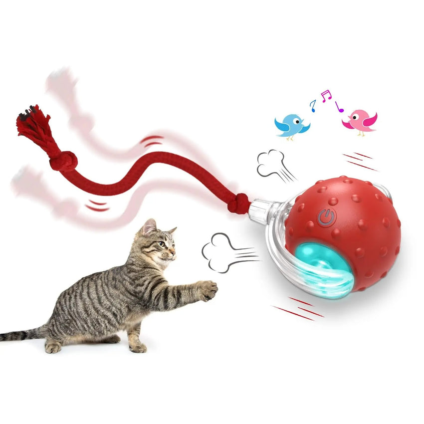 Interactive Cat Toy Ball Super Drive Cat Rolling Ball - My Store #