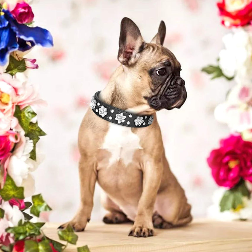 Cute PU Leather Dog Collar Rhinestone Flower Pattern Studded Width Fit Small And Medium Dogs