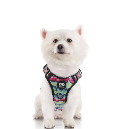Harness for Little Dogs – Rainbow Light Up, No - Pull, Adjustable Vest - Petcharged