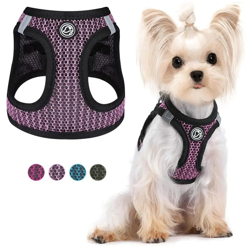 Harness for Small Dogs – Pink Soft Step - In Vest for Tiny Pets (XS) - Petcharged