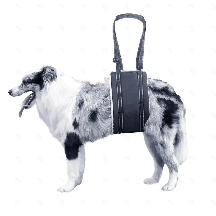Harness Lift for Dogs – Support Sling for Back Legs of Senior Pets - Petcharged