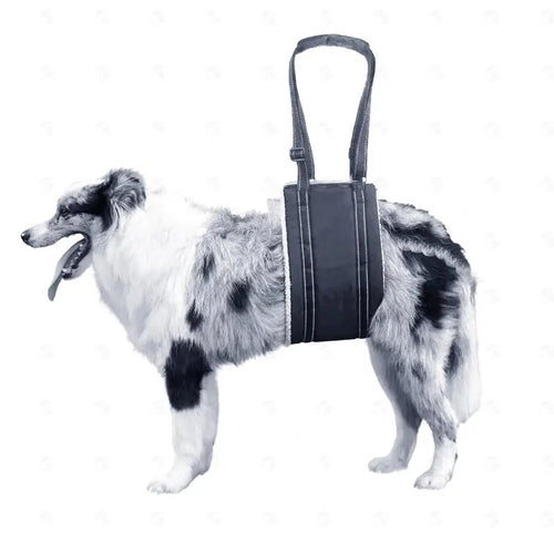 Harness Lift For Dogs – Support Sling for Back Legs of Senior Pets