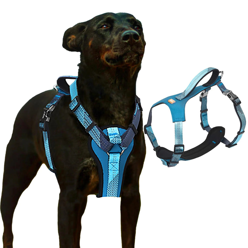 Heavy Duty Dog Harness – Strong, Padded Vest for Large Dogs