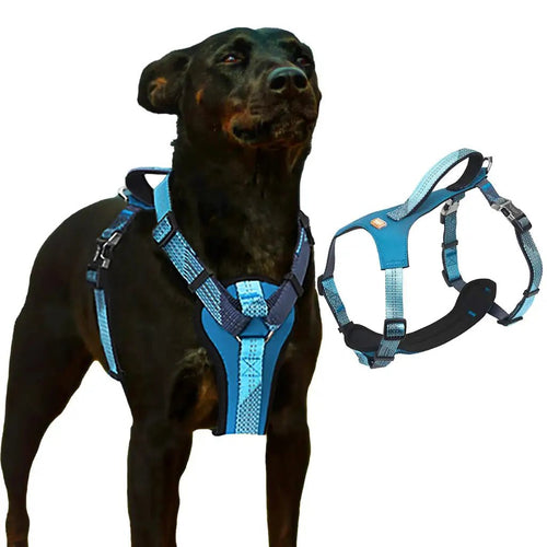 Heavy Duty Dog Harness No Pull H-Strap with Handle Neoprene Padded for Training and Walking