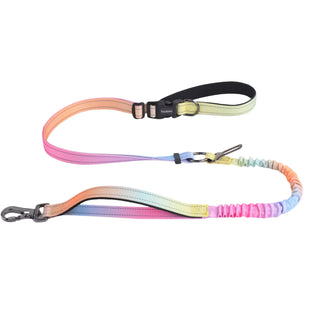 Bungee Dog Leash - Hands Free Dog Leash for Small Medium Large Dogs Adjustable Length no Hands Bungee Dog Running Leash Cross Body Shoulder & Waist Leash for Walking and Training with Car Seat Belt 4.5-7.5FT