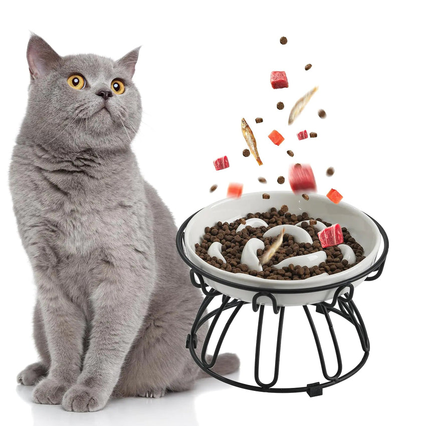 bowl of cat= Elevated Slow Feeder Cat Bowl - Ceramic Cat Food Bowl with Anti - Slip Metal Stand - Pastel Series Slow Feeding Cat Plate - Raised Cat Dish Maze Healthy Eating - Cat Puzzle Feeder - 7 OZ - Ivory White - Petcharged