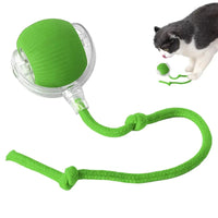 automatic cat toy - Interactive Cat Toys Ball for Indoor Cats - 2024 New Interactive Self Rolling Dog Ball Automatic Cat Toy Fast Rolling on Carpet 360° Smart Automatic Rolling Ball Toy Electric Dog Balls for Cat (Green) - Petcharged