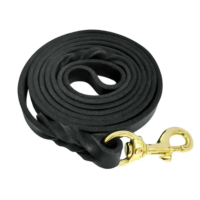 Leather Dog Leashes – Genuine Braided Leather Leash for Small to Large Dogs - Petcharged