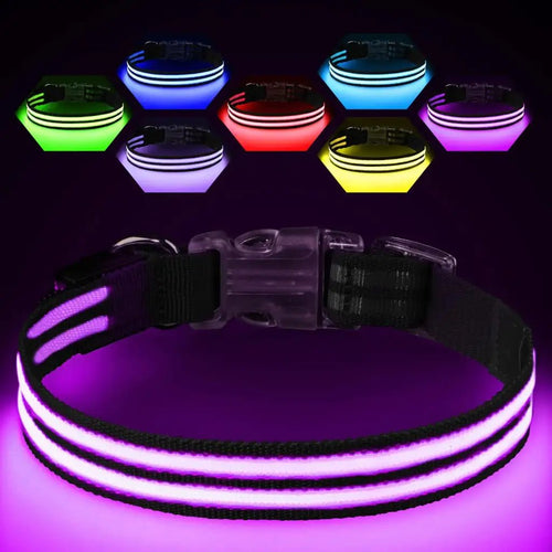 Light Up Dog Collar Rechargeable LED Black Small Waterproof for Night Visibility