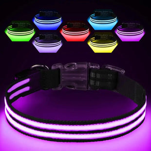 Light Up Dog Collar - LED Light Rechargeable Glow in The Dark Collar for Small Dogs (Black/S) - Petcharged