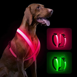 Light Up Dog Harness - Rechargeable LED Dog Harness Reflective Dog Harness Adjustable Soft Lighted Dog Harness for Night Walking Glowing Dog Vest for Small Medium Large Dog