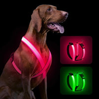 Light Up Dog Harness – Rechargeable LED Vest for Night Safety