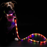 Light Up Dog Leash - LED Dog Leash for Safe & Peaceful Evening Walks - High Visibility Light Up Dog Leash LED - Lighted Dog Leash - Light Up Leash - Dog Leash with LED Light - 6 Foot Dog Leash with Light New Version! - Petcharged