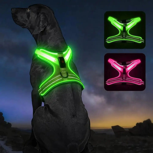 Light Up Medium Dog Harness Rechargeable LED Visibility Vest Adjustable Soft Mesh Night Walking