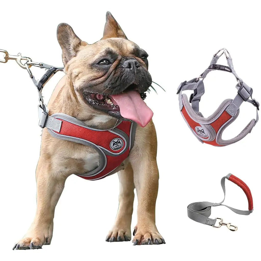 Pet Harness for Small Dogs – Red No - Pull Vest and Leash Set - Petcharged