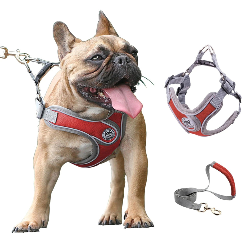 Pet Harness for Small Dogs – Red No-Pull Vest and Leash Set