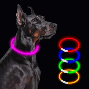 Light Up Pink Dog Collar Rechargeable LED Glow Waterproof Cuttable Night Walking USB