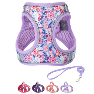 Purple Dog Harness – Small, Soft, and Reflective